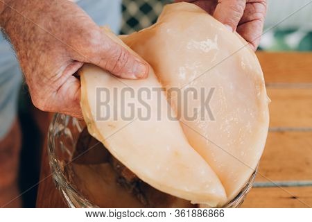 Man Hands Dividing Kombucha Mushroom Probiotic. Diet Organic Superfood Healthy Fermented Tea. Rustic