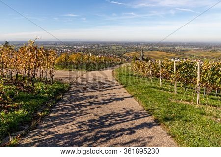 Varnhalt Vineyard With Village In Background