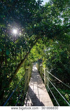 Early Morning At The Wooden Bridge Of Air Hitam Dalam Educational Forest At Penang, Malaysia.