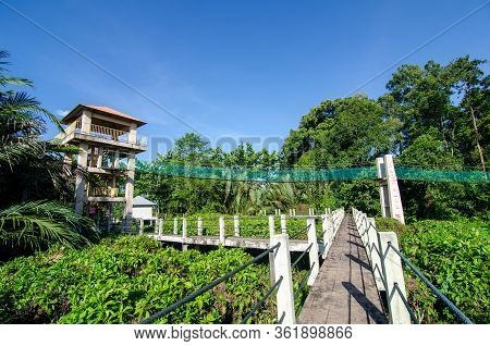 Suspension Bridge At Air Hitam Dalam Educational Forest At Penang, Malaysia In Hot Blue Sky.