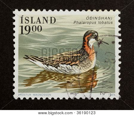Iceland - 1989: Stamp Printed In Iceland
