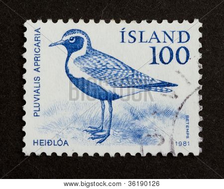 Iceland - 1981: Stamp Printed In Iceland