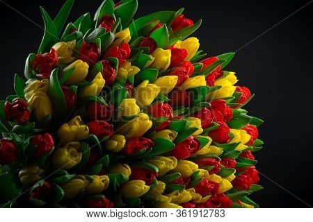 Red And Yellow Tulips On A Black Background