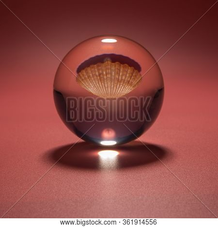 Seashell In A Glass Ball On A Pink Background