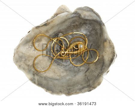 Golden Necklace With A Pearl In A Oystershell