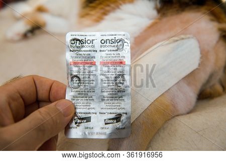Paris, France - Jul 20, 2019: Overhead View Of Cat After Surgery Operation Vet Cabinet Visit Rehabil