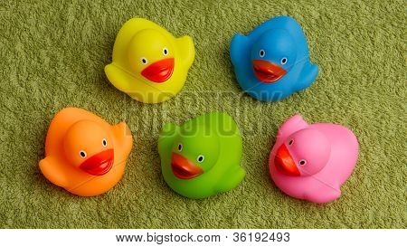 Rubber Ducks Isolated