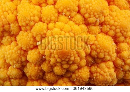 Detail Of The Head Of An Orange Cauliflower, Vegetable Of Brassica Family