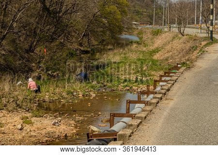 Hwanggan, South Korea; April 14, 2020: Unrecognizable People Gathering Herbs In Creek Bed Beside Pav