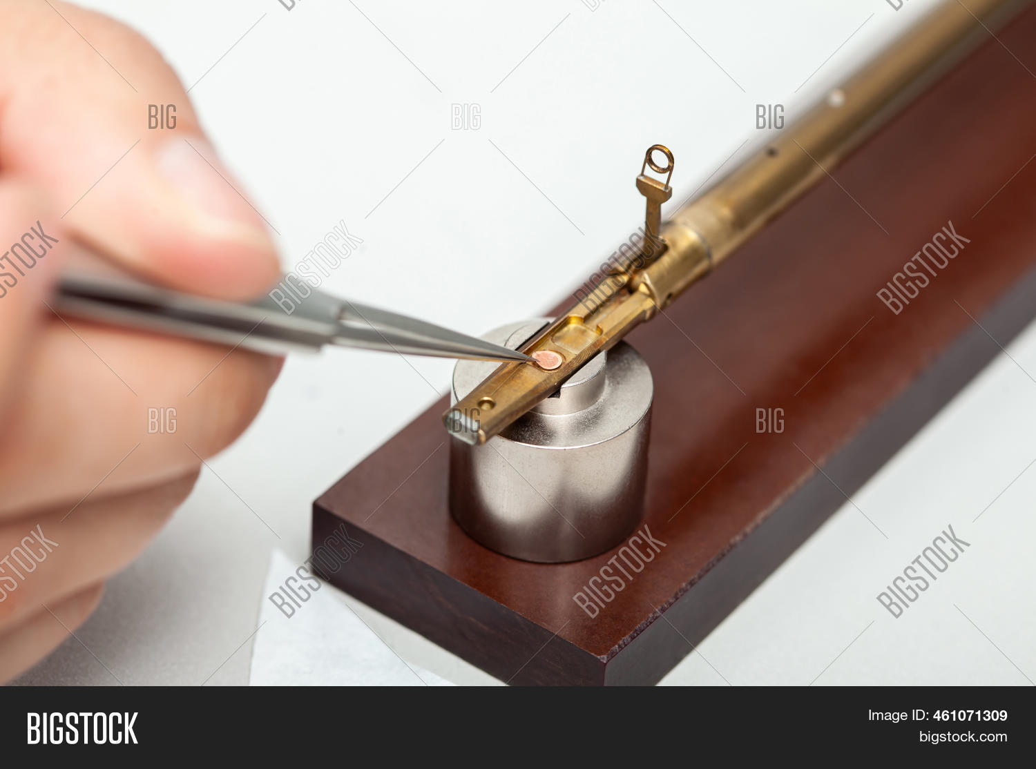 Transmission Electron Image & Photo (Free Trial) Bigstock