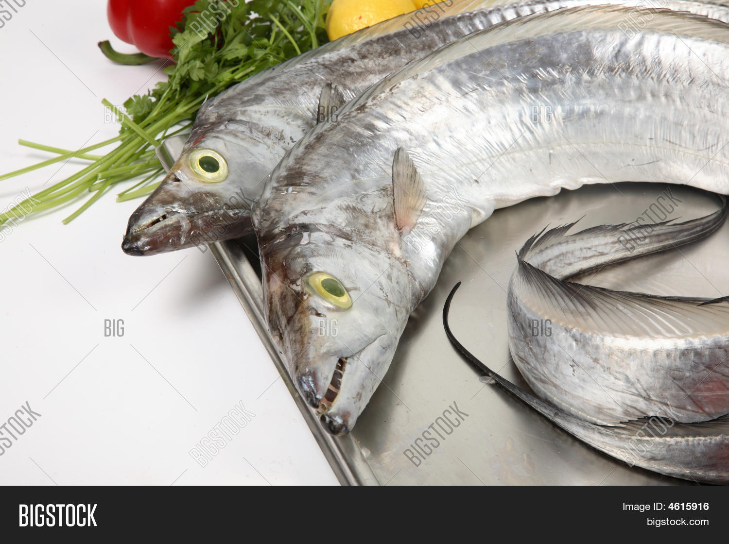 Belt Fish Image & Photo (Free Trial) Bigstock