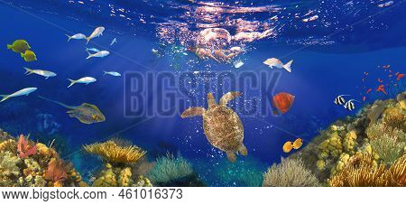 Colorful Coral Reef With Many Fishes And Sea Turtle. The People At Snorkeling Underwater Tour At The