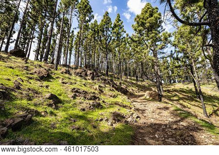 Gran Canaria Hiking Route Cruz De Tejeda To Artenara, View Into Caldera De Tejeda, Gran Canaria, Can