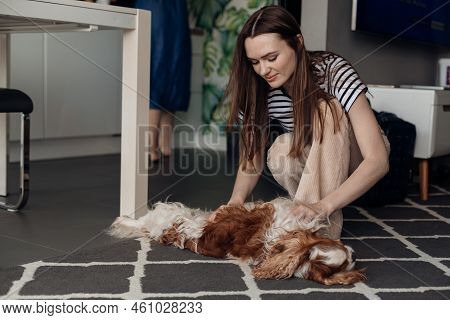 Young Brown Haired Smiling, Delightful Woman Playing With Beloved Pure Breed Animal Dog Curly Coker 