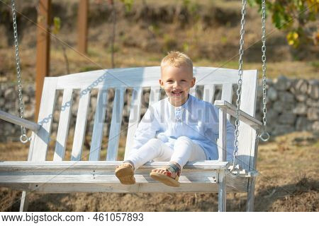 Child Swing On Backyard. Kid Playing Oudoor. Happy Cute Little Boy Swinging And Having Fun Healthy S