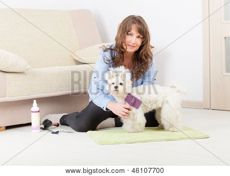 Usmívající se žena zastřihování pes purebreed maltese na podlahu v domácí