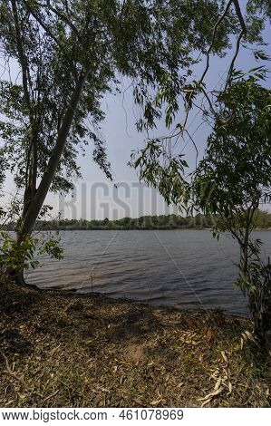 Man Made Reservoir Environmental Conservation Helping Native Species To Recover By Planting Native P