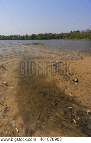 Man Made Reservoir Environmental Conservation Helping Native Species To Recover By Planting Native P