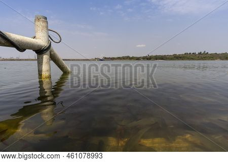 Man Made Reservoir Environmental Conservation Helping Native Species To Recover By Planting Native P