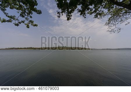 Man Made Reservoir Environmental Conservation Helping Native Species To Recover By Planting Native P