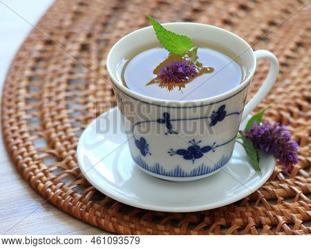 Herbal Tea From Medicinal Herb Agastache Foeniculum, Also Called  Giant Hyssop Or Indian Mint.  Arom