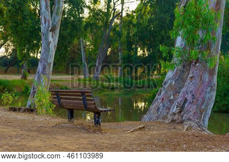 View Of A Bench And Eucalyptus Trees Along The Yarkon River, In The Yarkon Park, Tel-aviv, Israel