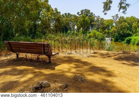View Of A Bench And Eucalyptus Trees Along The Yarkon River, In The Yarkon Park, Tel-aviv, Israel