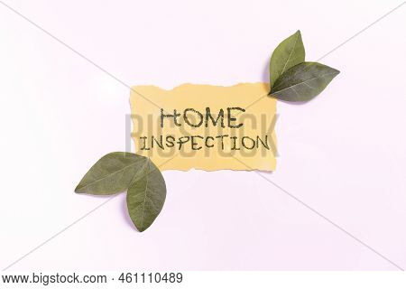 Conceptual Display Home Inspectionexamination Of The Condition Of A Home Related Property. Word For 