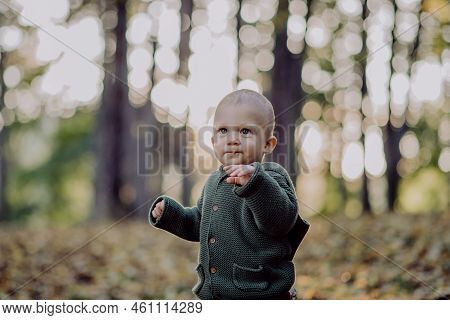 Portrait Of Cute Little Boy Wearing Knitted Hoodie In Nautre, Autumn Concept.