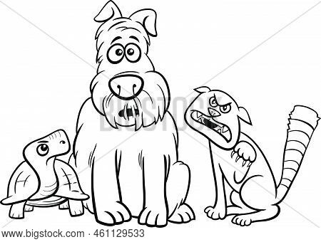 Black And White Cartoon Illustration Of Funny Dog Animal Character With Cat And Tortoise Coloring Pa