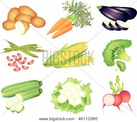 zöldség illusztráció készlet