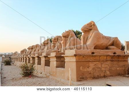 Row of ram-headed spinxes