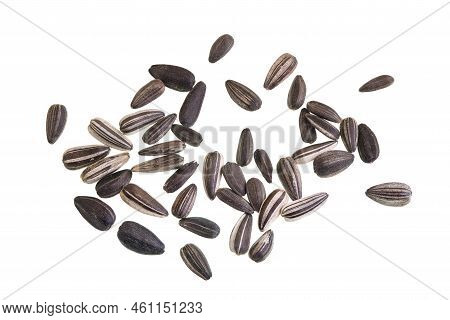 Sunflower Seed Is The Seed Of The Sunflower Plant, Helianthus Annuus, Native To North And Central Am