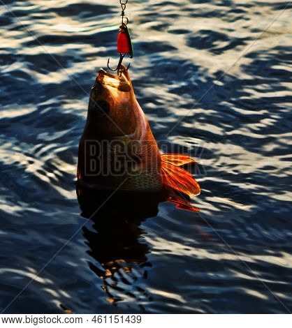 Fishing At Sunset. Catching Predatory Fish On Spinning. Sunset Colors On The Water Surface, Sunny Pa