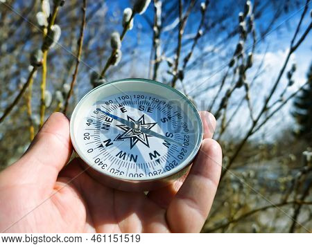 Winter-spring Hiking (spring Independent Travel In Forest And River, Willow Catkins), Camping Equipm