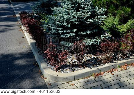 Colored Buns Of Cut Shrubs In The Shape Of Spheres And Flat Covers. Red, Yellow And Brown Leaves In 