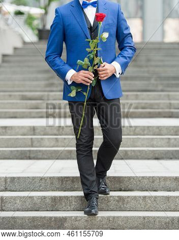 Elegant Man In Tux. Man Wearing Tux Bowtie Outdoor. Cropped View Of Tux Man With Rose