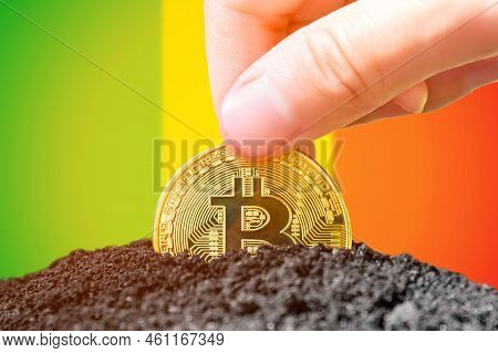 Legalization Of Bitcoins In Mali. Planting A Bitcoin In The Ground Against The Background Of The Fla