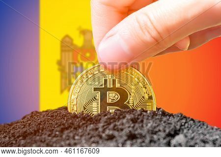 Legalization Of Bitcoins In Moldova. Planting A Bitcoin In The Ground Against The Background Of The 