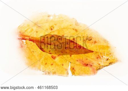 Frozen Tropical Leaves Delicate Patterns And Unusual Textured Still Life