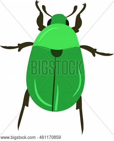 Stag Beetle Vector Illustration From Top Angle