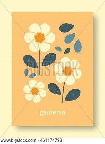 Abstract Still Life Of Gardenia Flower In Pastel Colors. Modern Art Collection. Gardenia Flower Vect