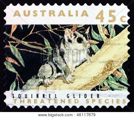 Briefmarke Australien 1992 Eichhörnchen Segelflugzeug, Beuteltier Säugetier