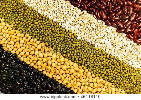 Variuos kinds of different beans