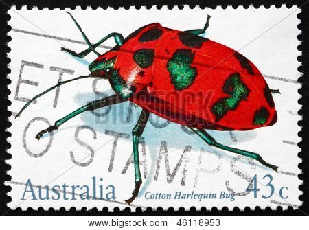 Francobollo Australia 1991 cotone Harlequin Bug