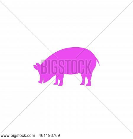 Pig Icon Logo Design Illustration