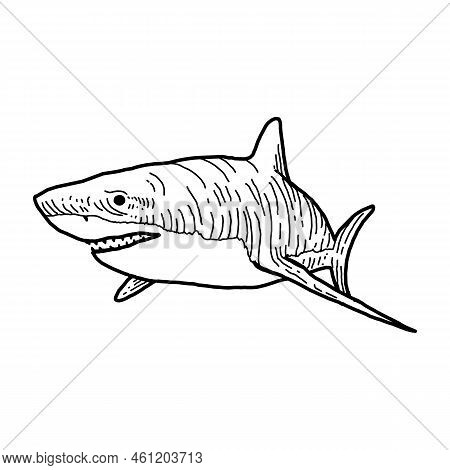 Angry Toothed Shark Isolated Funny Cute Cartoon Character. Vector White Toothy Shark Personage, Carc