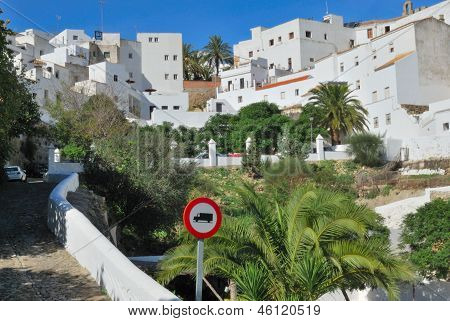 Vejer
