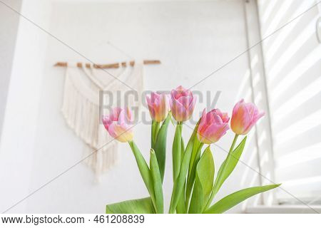 Beautiful Pink Tulips In Glass Vase Against Handmade Macrame Wallhanging.  Eco Friendly Modern Conce