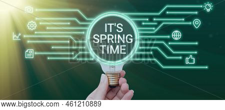 Writing Displaying Text It S Is Spring Timeseason After Winter Bloosoming Of Flowers Transformation.